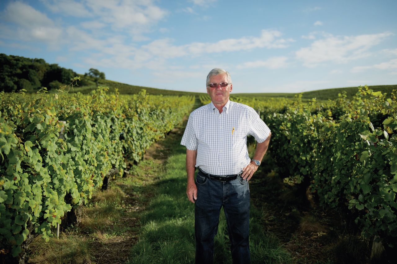 Vins Vigneron Pierre Rolet portraitPR-15